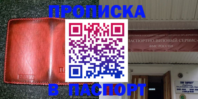 временная прописка в Ельне